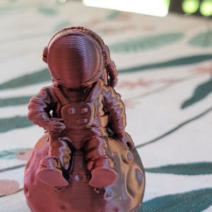 Astronaut on the Moon